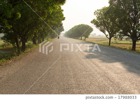 Road to Nepal Lumbini 17988033