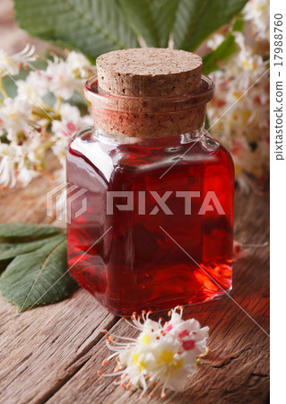 Chestnut tincture of flowers in a bottle vertical 17988760
