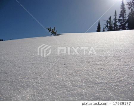 Snowy field Snowy field 17989177