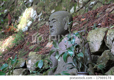 Dear Mr. Oita Dear Mr. Oita 17989178