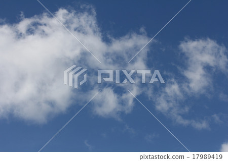 白雲  17989419