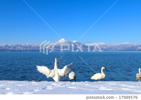 Bandai Mountain in winter and Lake Inawashiro 17989576