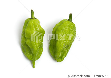 Capsicum joloquia Capsicum joloquia 17989732