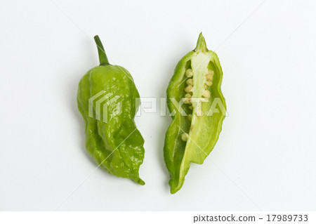 Capsicum joloquia Capsicum joloquia 17989733
