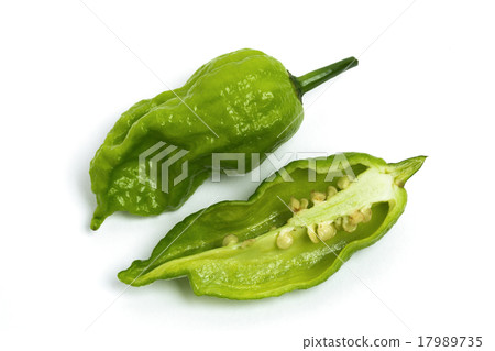 Capsicum joloquia Capsicum joloquia 17989735