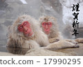 Monkey of Jigokudani Onsen filled with letters for New Year's card 17990295
