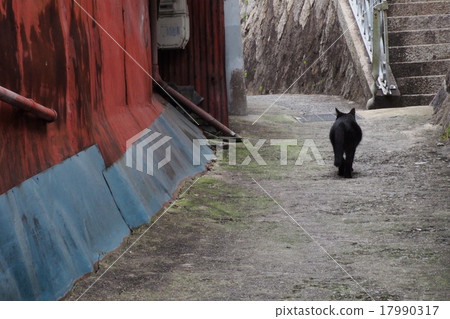 尾道貓 17990317