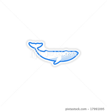paper sticker on white background blue whale paper sticker on white background blue whale 17991095