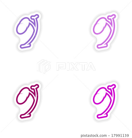 Set of paper stickers on white background spleen 17991139