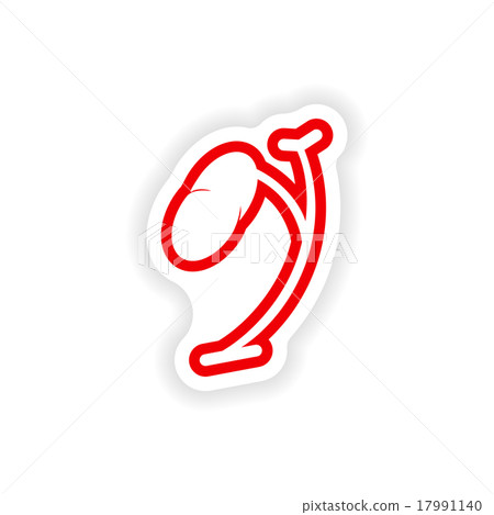 paper sticker on white background body spleen 17991140