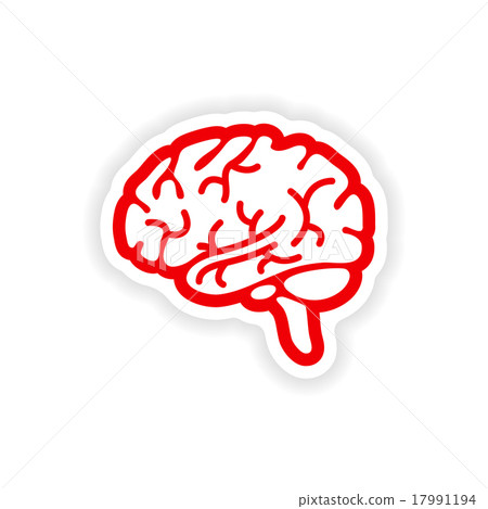 paper sticker on white background human brain paper sticker on white background human brain 17991194