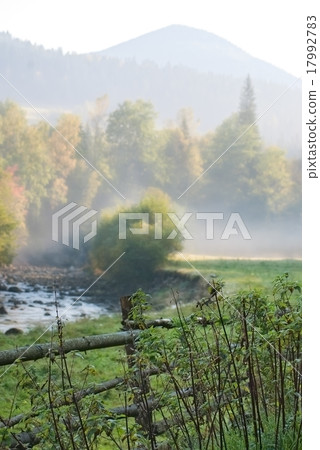 fence 17992783