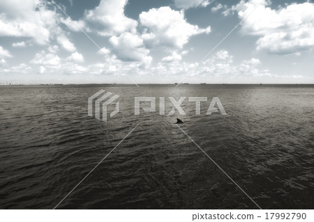 seascape seascape 17992790