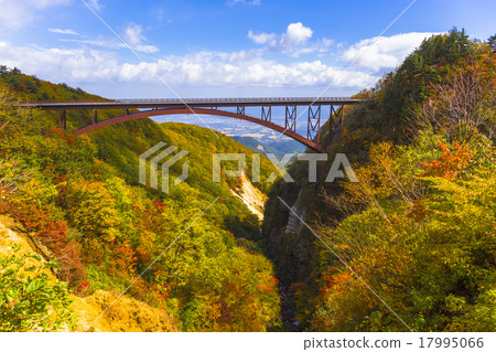 Ginkaku Valley of autumn leaves Ginkaku Valley of autumn leaves 17995066