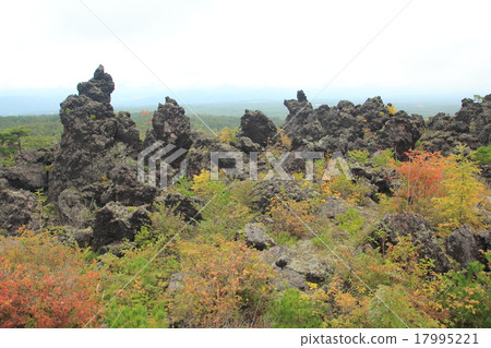 Onioshidashien 17995221