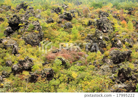 Onigamekaden 17995222