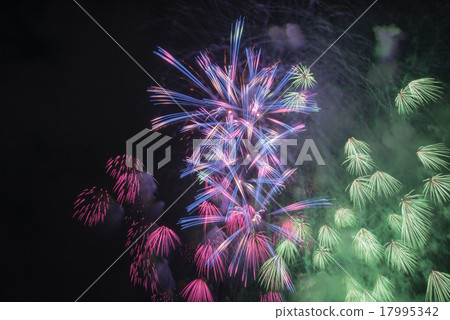 Omagari煙花節 17995342