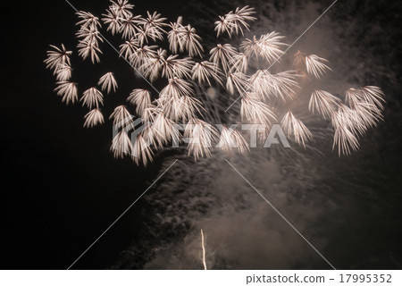 Omagari煙花節 17995352