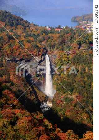 Kegono Taki秋葉 17995542