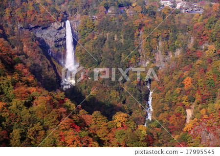 Kegono Taki秋葉 Kegono Taki秋葉 17995545