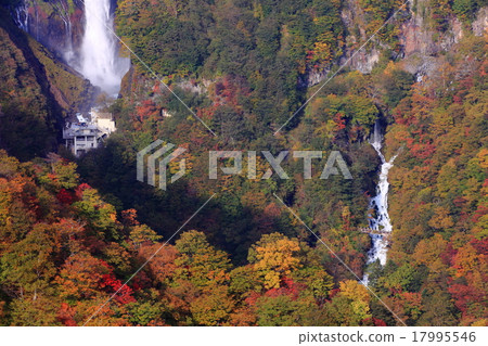 Kegono Taki秋葉 17995546