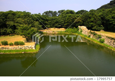 Hagi Castle Hagi Castle 17995757