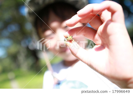 Frog child Frog child 17996649