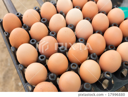 fresh organic eggs from chicken farm agriculture 17996880