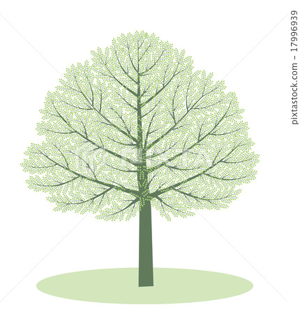 春天樹新綠色 17996939
