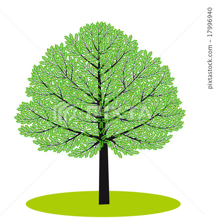 活潑的夏天樹 活潑的夏天樹 17996940