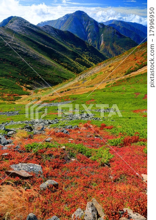 Kono-dake seen from the vicinity of Higashigei Kono-dake seen from the vicinity of Higashigei 17996950