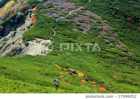 從Higashigairi附近看到Kotono dake的登山路徑 從Higashigairi附近看到Kotono dake的登山路徑 17996952
