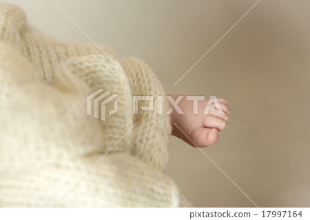 Baby feet Baby feet 17997164