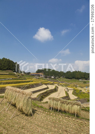 Hasami Oniki的米飯露台 17998106