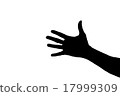 Par 17999309