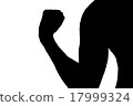 Muscle training 17999324