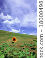 To the great sky 18000498