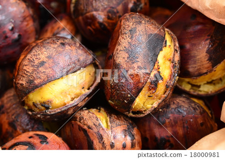 Roasted chestnut ♪ Roasted chestnut ♪ 18000981
