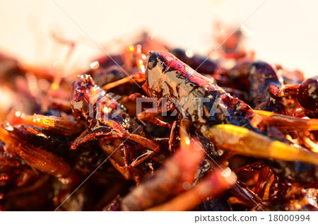 稻穀鶴谷♪ 18000994