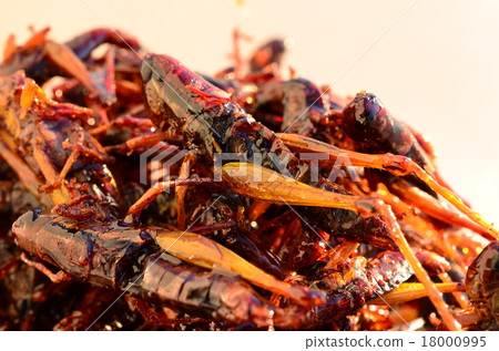 Inago Tsukudani♪ 18000995