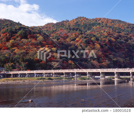 嵐山在京都和渡月橋“日本100橋”的秋葉 嵐山在京都和渡月橋“日本100橋”的秋葉 18001028