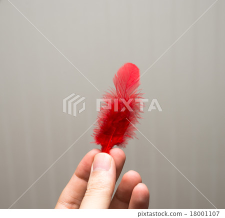 Red Feather 18001107