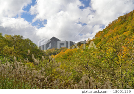 Iwakadake的秋天 18001139