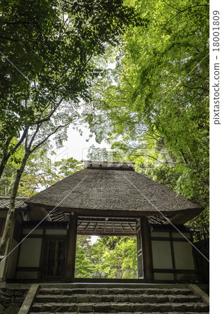 Honen醫院的藍楓 18001809