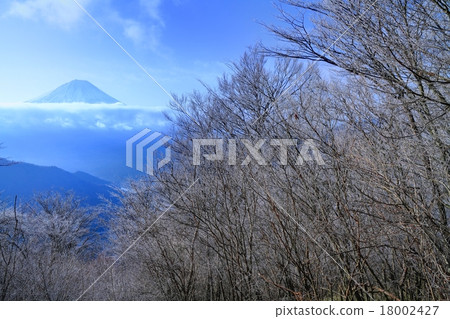在Mikata Sakuyama的Misaki山·樹冰和富士山 在Mikata Sakuyama的Misaki山·樹冰和富士山 18002427