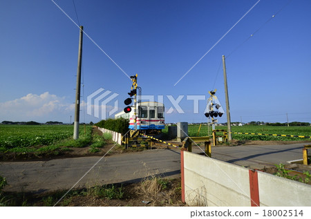 Local train running in the field (Hitachinaka Kaihama Railroad) 18002514