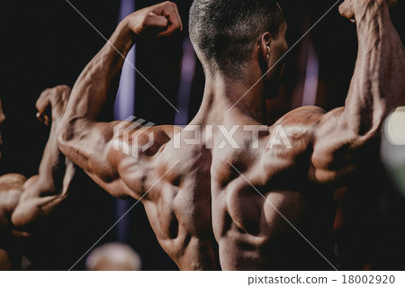 athlete bodybuilder athlete bodybuilder 18002920