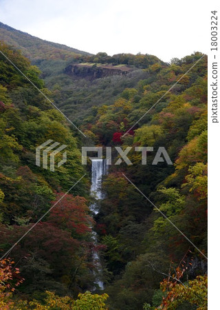 瀑布瀑布 18003224