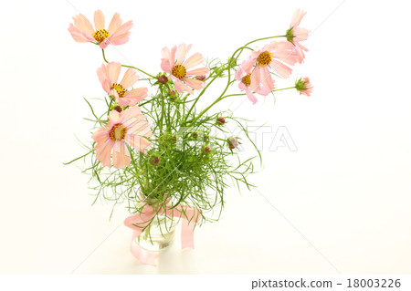 宇宙（橙色帆布）（水平左側位置） 18003226