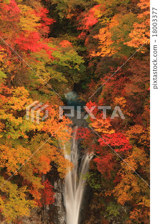 Kokage Falls 18003377